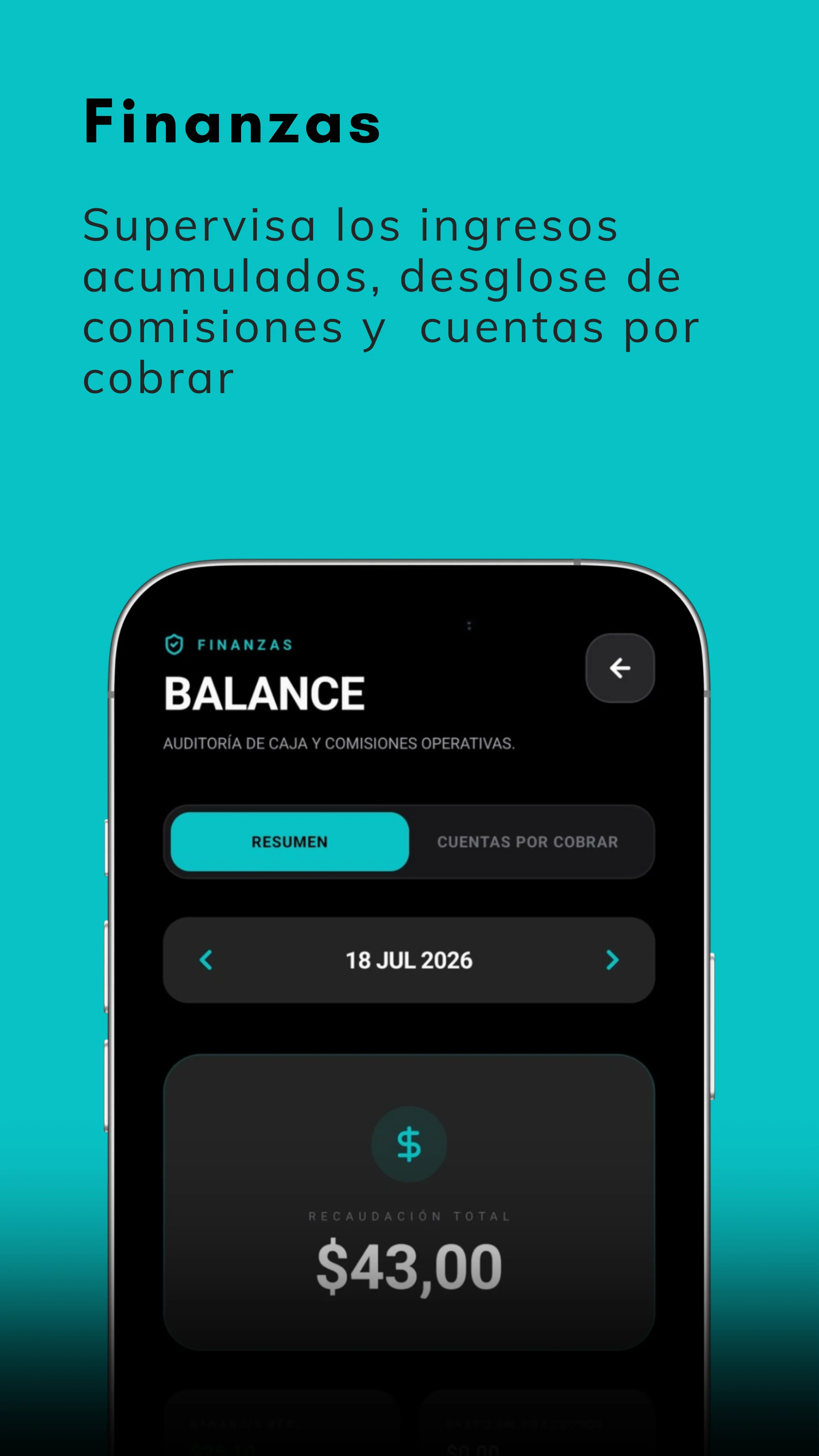 Control Financiero Pautalo